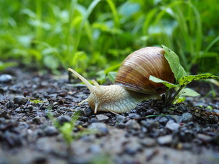 Umwelt und Mobilität