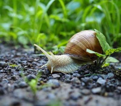 Umwelt und Mobilität